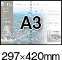 A3