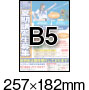 B5