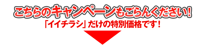 こちらのキャンペーンもぜひごらんください!「イイチラシ」だけの特別価格です!