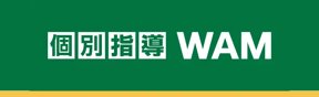 個別指導WAM