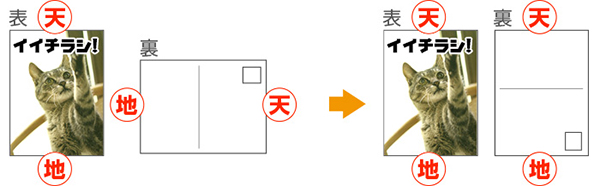 タテの場合の天地