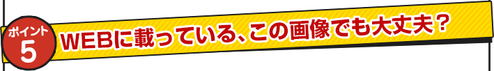 webに載ってる、この画像でも大丈夫？